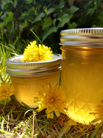 HOW TO MAKE DANDELION JELLY