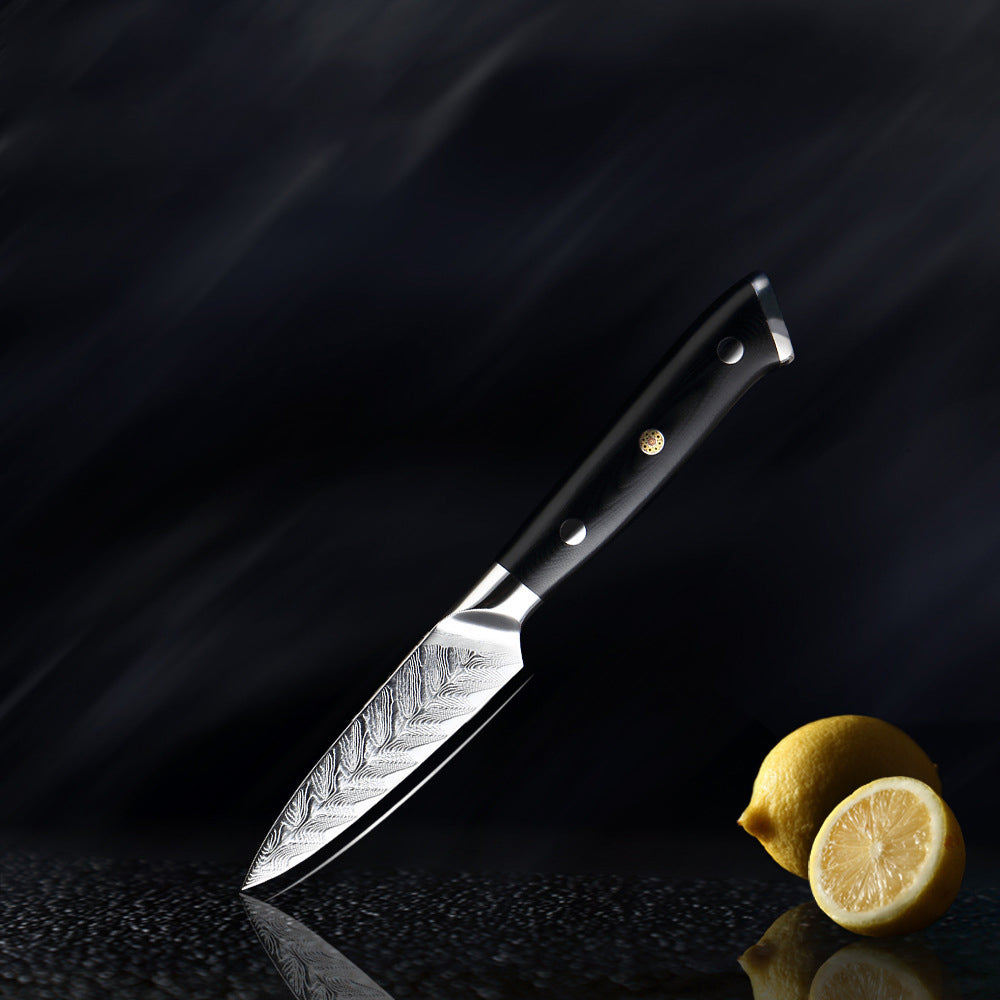 Daichi (だいち) Damascus VG10 Steel Kitchen Knives Set