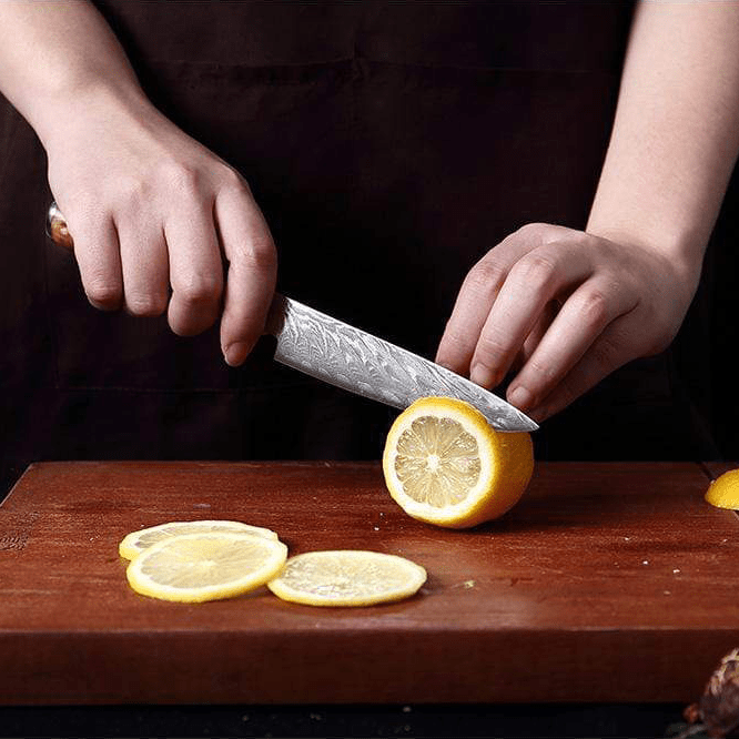 SAKUTO (作東) Japanese Damascus Steel Kitchen Knife Set With Resin Handle